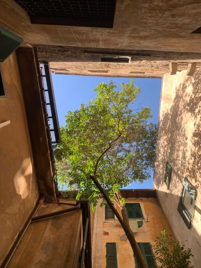 Navona Apartment โรม ภายนอก รูปภาพ